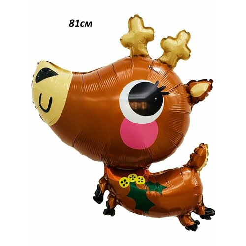 ���� ��������� ���� �� ����� ��� 2025 ����� ������ ������