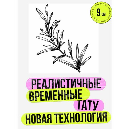 ���� ���� ���������� �������������� �������� ������ ������