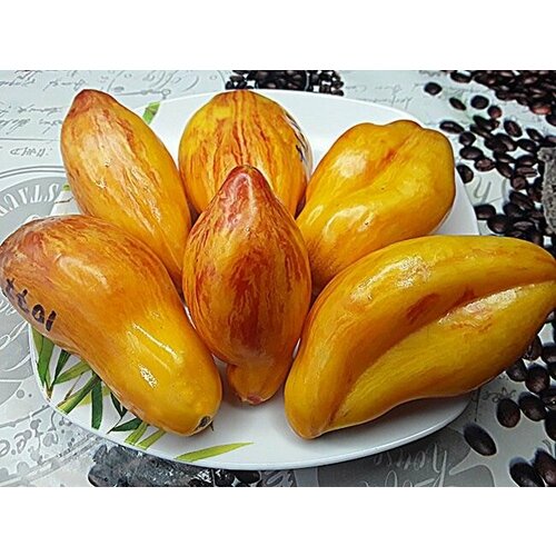 ���� ������������� ������ ������ Ƹ���� ������� ������ ������