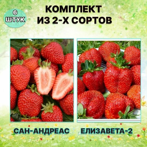 ���� ����� �������� �������� ���������-2/���-������� (6 ����) ������ ������