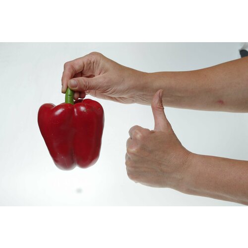 ���� ������������� ������ ����� �������� ���� F1 ������ ������