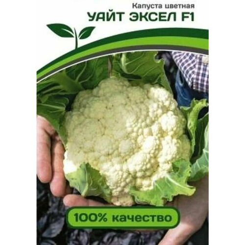 ���� ������������� ������ ������� ������� ���� ����� F1 ������ ������