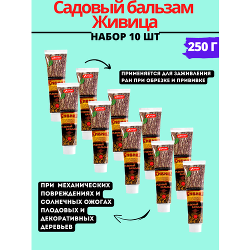 ���� ����� ������� ������� ������ 250 �, 10�� ������ ������