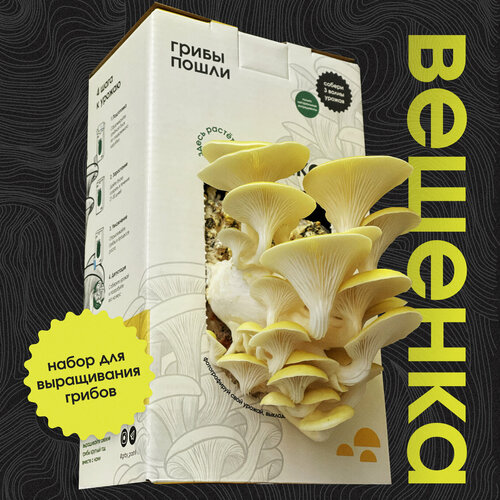 ���� ����� ��� ����������� ������. ������� �������� ������ ������