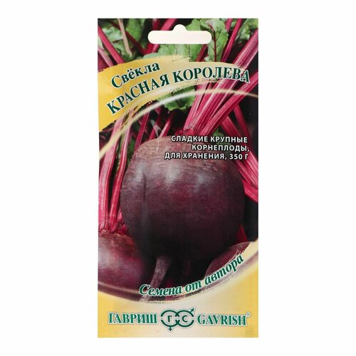 ���� ������ ������ 