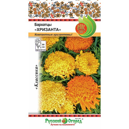 ���� �������� �������� ��. � 40 ����� �� ������ ������