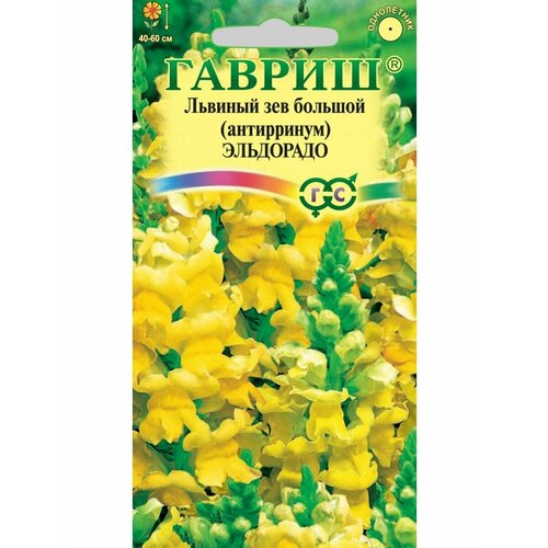 ���� ���������� (������� ���) ���������, 0,05�, ������ ������ ������