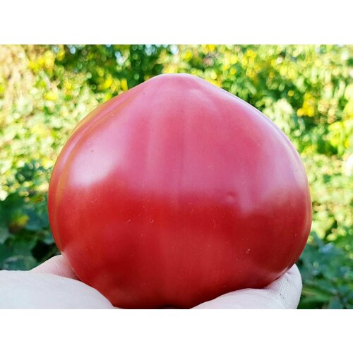 ���� ������������� ������ ������ ������� ������ ������