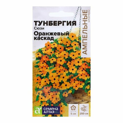 ���� ������ ��������� 