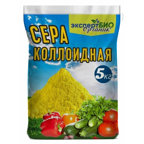 ���� ���� ���������� ��� �������� �� ���������� ��������� ��� �������� ������� � ���� ������ ������