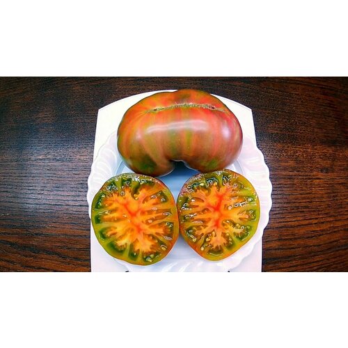 ���� ������������� ������ ������ ������ ����� ������ ������