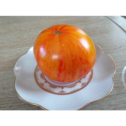 ���� ������������� ������ ������ ������� ��������� ��������� ������ ������