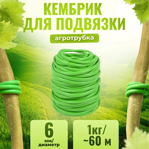 ���� ������� - ���������� ��� ��� �������� ��������� � ������ �������� ������� 6�� � ����� +- 1�� - 60 ������ ������ ������