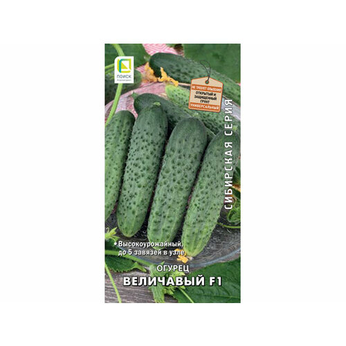 ���� ������ ��������� 12�� 831786 ������ ������