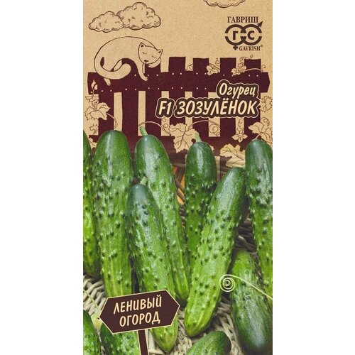 ���� ������ ������ ��������� F1 10�� ������������������ ������ (������) ������� ������ ������ ������