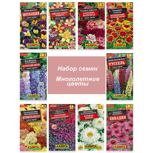 ���� ������ ����������� ������ ��� ���� ������ ������