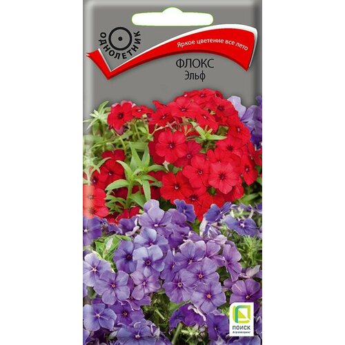 ���� ������ ������� �������� �������������� ����� ���� ��� ��� ��� ���� 10 �� ������ ������