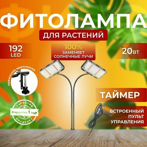 ���� ��������� ��� ����������� �������� ������� ������ ������, �������������� ������������ �� ������������ �������, ����� 2 ���������� ��� ������, �������������� ������, ������ ������ ������