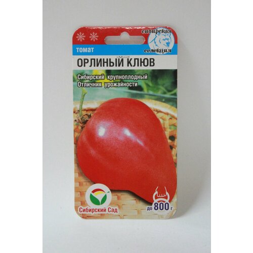 ���� ������, ����� ������� ����. ������ ������