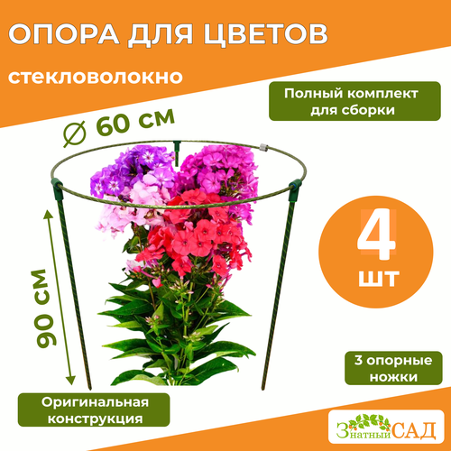 ���� ����� ��� ������ /��������������/ �������� ��� ����/ �������������/ 4 ����� ������ ������