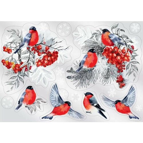 ���� ���������� �������� 