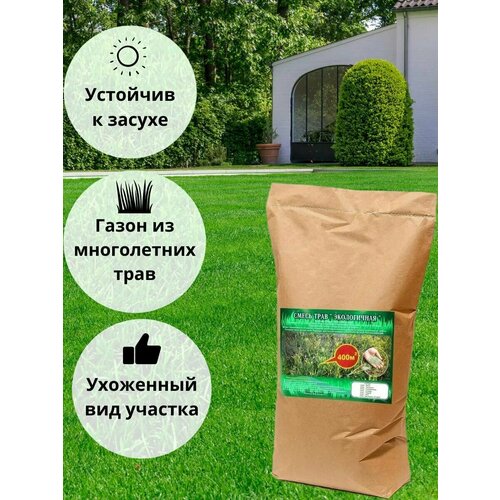 ���� �������� ����� ������ ����������� 20��, ���������� ������ ������