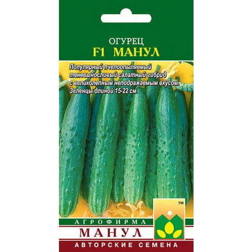 ���� ������ ������ ����� F1 ������ ������