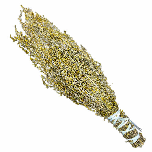 ���� ���� ���� 