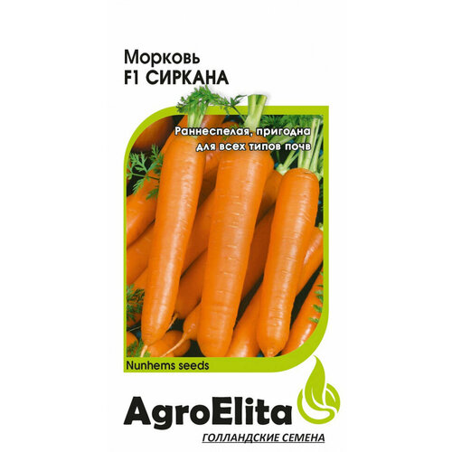     F1, 0,3, AgroElita, Nunhems   -     , -, 