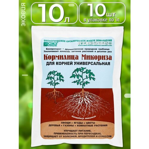 ���� ��������� ��� ������ ������������� ��������� ��������, 10 �� ������ ������