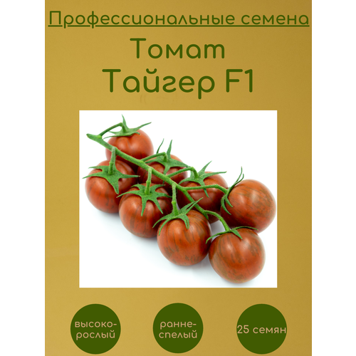    F1 25    -     , -, 