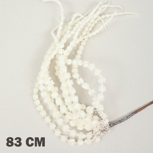 ���� �������������� ��������� (������� ����� 82 ��) ������ ������