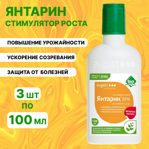 ���� ������� ������ ������