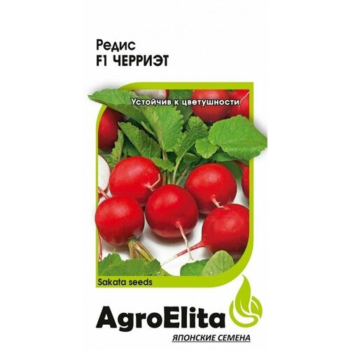     F1 . (AgroElita) 0,5 ()   -     , -, 