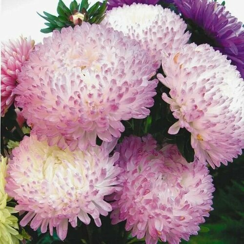 ���� ����� ����������� ������� ���������, �������� �������� �� ������: �������� ���������� � ���������� �����, 10 ����� ������ ������