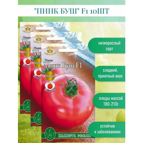 ���� ������ ������ ���� ��� F1 10��* ������ ������