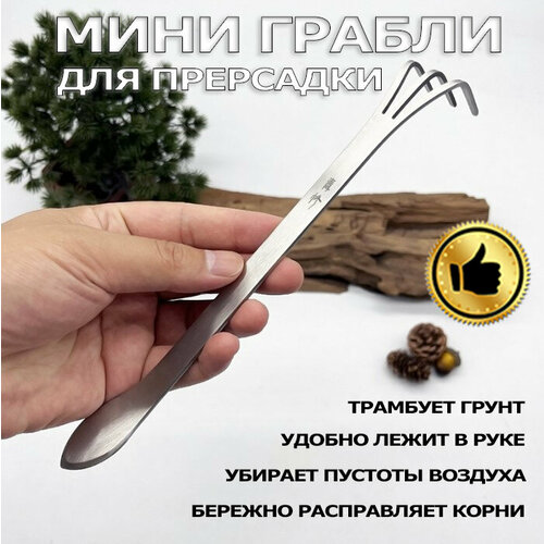 ���� ����-������ �� ����������� �����, ����� ���������� ������ ������