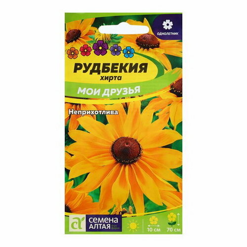 ���� ������ �������� 