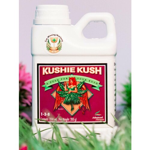 ���� ������� AN Kushie Kush 250 �� ������ ������