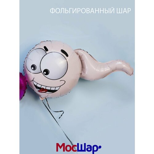 ���� ��������� ���� �� ��������, �������������� 80 �� ������ ������ ������