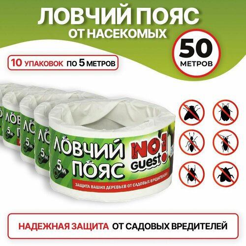 ���� ������ ���� �� ������� ���������� NoGuest, ��� ��������, 50 � (10 ��. �� 5 ������) ������ ������