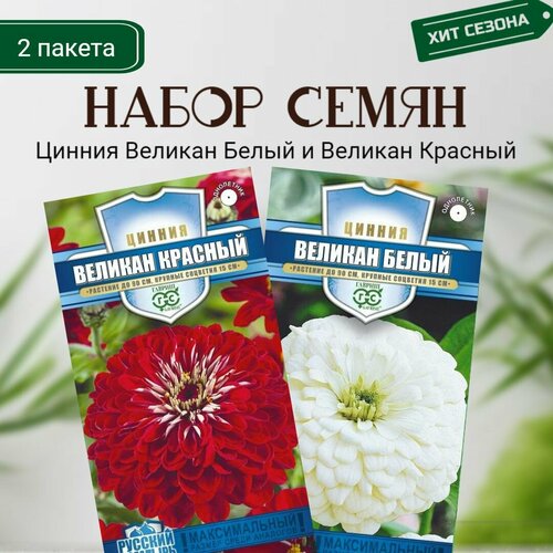 ���� ������ ������� ����� � ������� ������� 2 ������ �� 0,3� ����� ������ ������