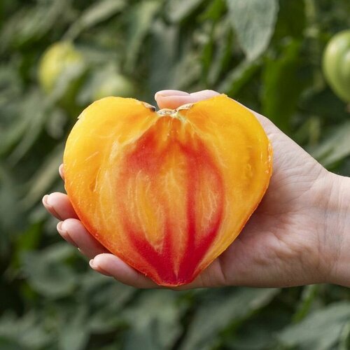 ���� ������������� ������ ������ ������ ������ ������