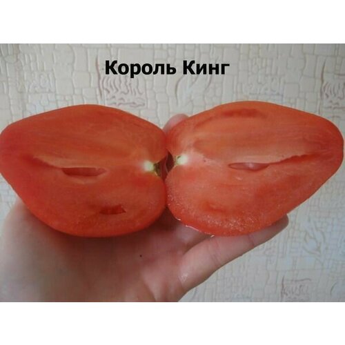 ���� ������������� ������ ������ ������ ���� ������ ������