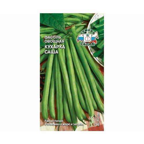 ���� ������ ������ ������� ���� ������� �������� ��������� 5� ������ (�����) ������ ������