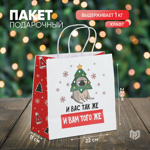 ���� ����� ���������� �� ��� �����, 22 � 22 � 11 ��, ����� ��� ������ ������