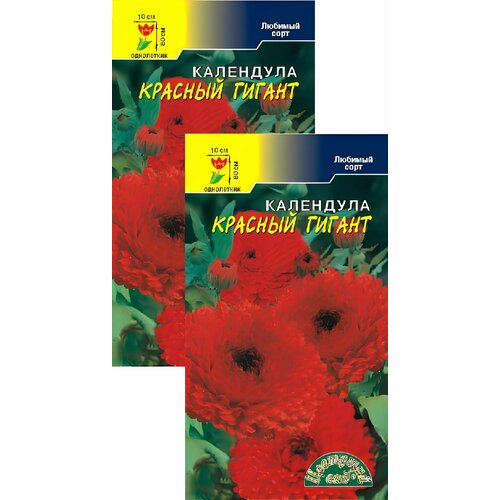 ���� ��������� ������� ������ (0,3 �), 2 ������ ������ ������