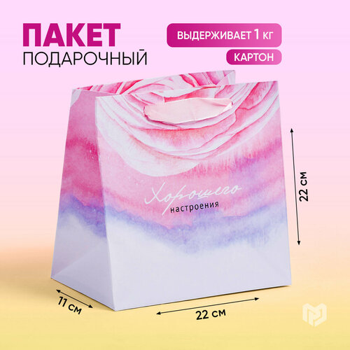 ���� ����� ���������� ���������� ���������, 22 � 22 � 11 �� ������ ������