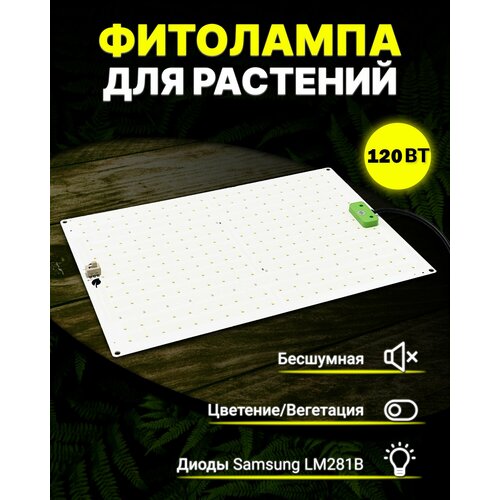 ���� ���������� ��� �������� � ������� Samsung LM281b+, ��������� 120 ����, quantum board, ������ ������