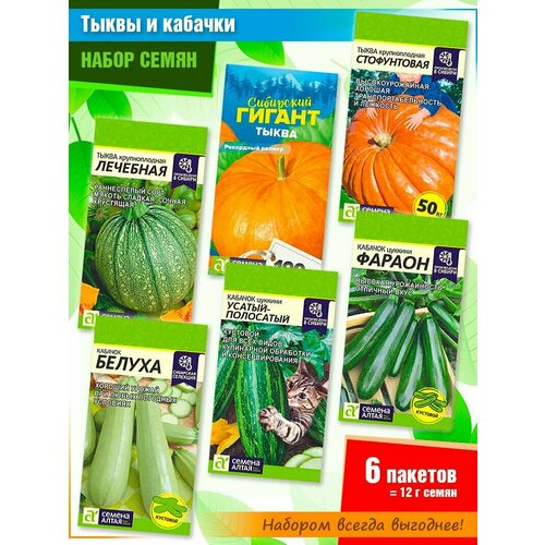 ���� ����� ����� ����: ��������, ��������� ������, ����������� � ����� ��������: ������, ������-���������, ������ �� ������ ����� (6 �����) ������ ������